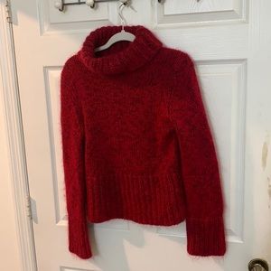Express large sweater